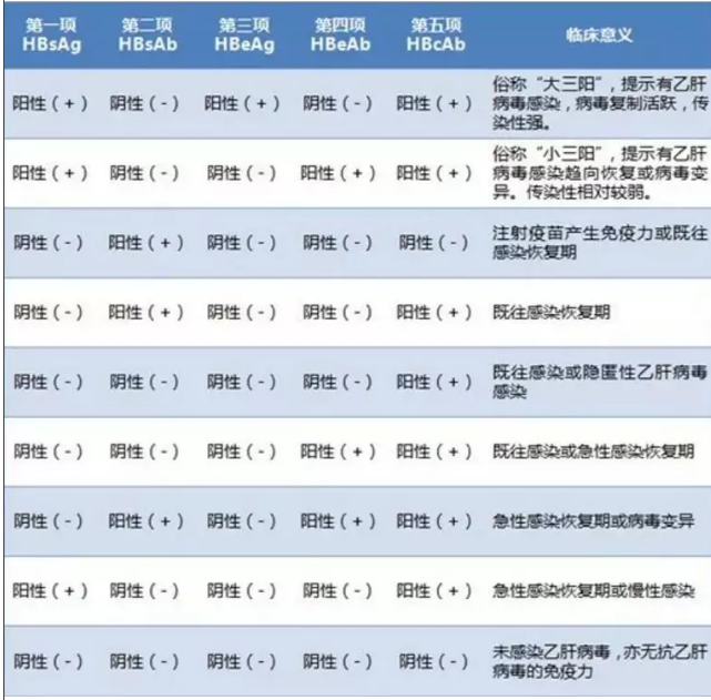 浩恩健康學堂第十五期 | 了解傳染病四項